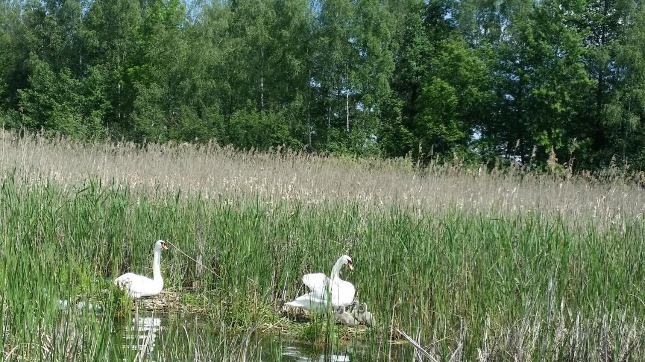 Domek Mazury - Jezioro Orzysz Exteriér fotografie